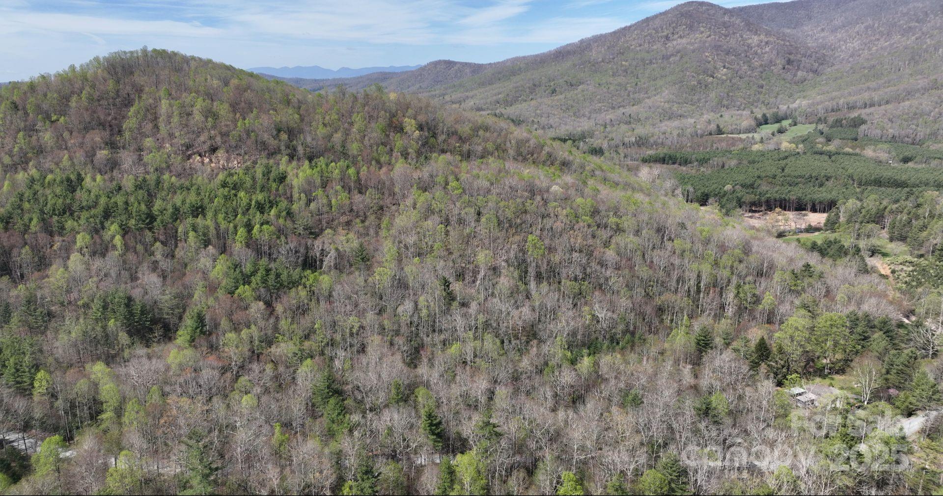 0 Gusher Knob Road Newland, NC 28657 - Photo 10 of 10 Gallery Image 10