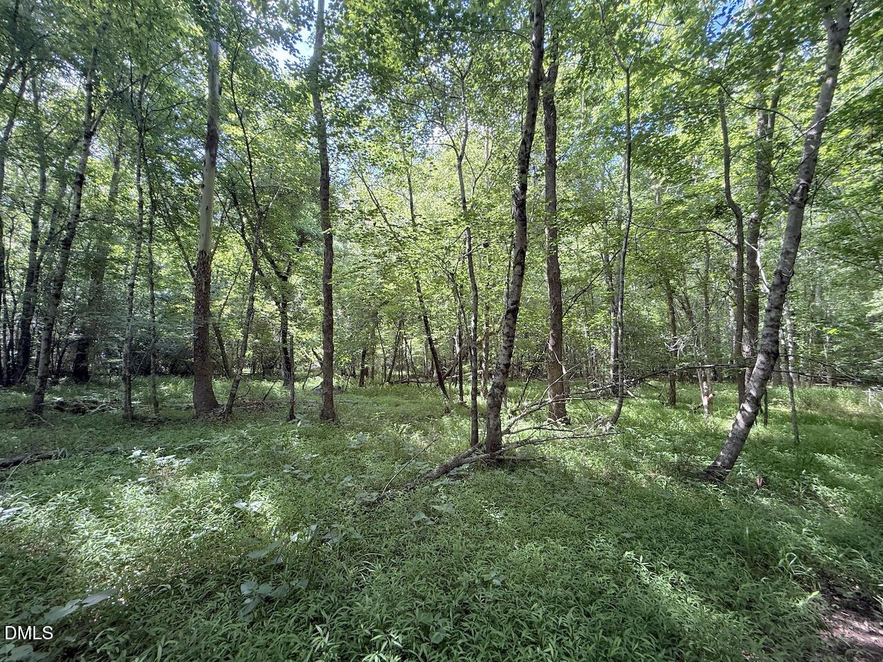 0 Tar River Road Oxford, NC 27565 - Photo 15 of 34 15