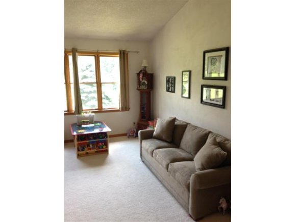 91 Harnecky Road Newark Valley, NY 13811 - Photo 14 of 24 Gallery Image 14