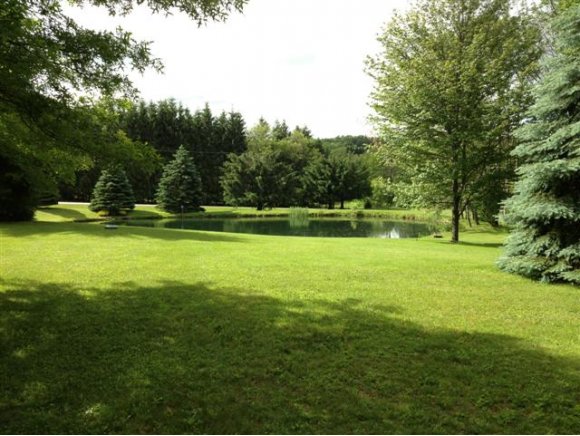 91 Harnecky Road Newark Valley, NY 13811 - Photo 23 of 24 Gallery Image 23
