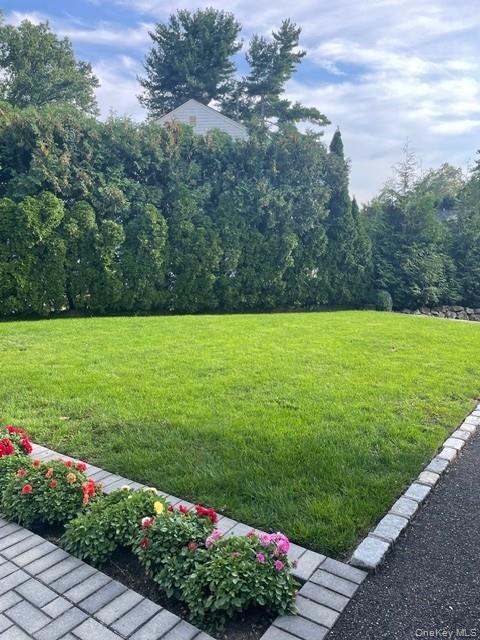 145 Shore Road Manhasset, NY 11030 - Photo 22 of 23 a view of a garden with flowers and trees