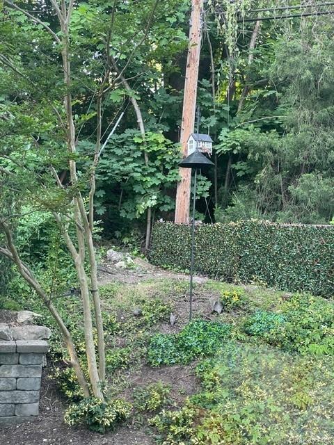 145 Shore Road Manhasset, NY 11030 - Photo 7 of 23 a backyard of a house with lots of green space