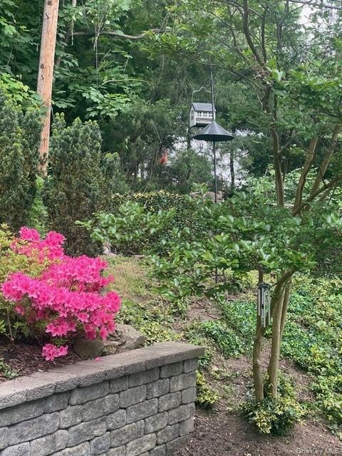 145 Shore Road Manhasset, NY 11030 - Photo 8 of 23 a backyard of a house with lots of green space