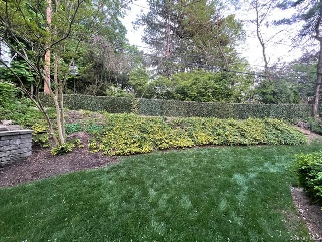 145 Shore Road Manhasset, NY 11030 - Photo 9 of 23 a view of a backyard with plants and large trees