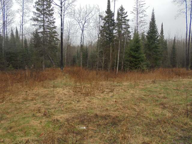 3352 Nicolet Hls Road, Unit LOT #5 Long Lake, WI 54542 - Photo 2 of 5 Gallery Image 2