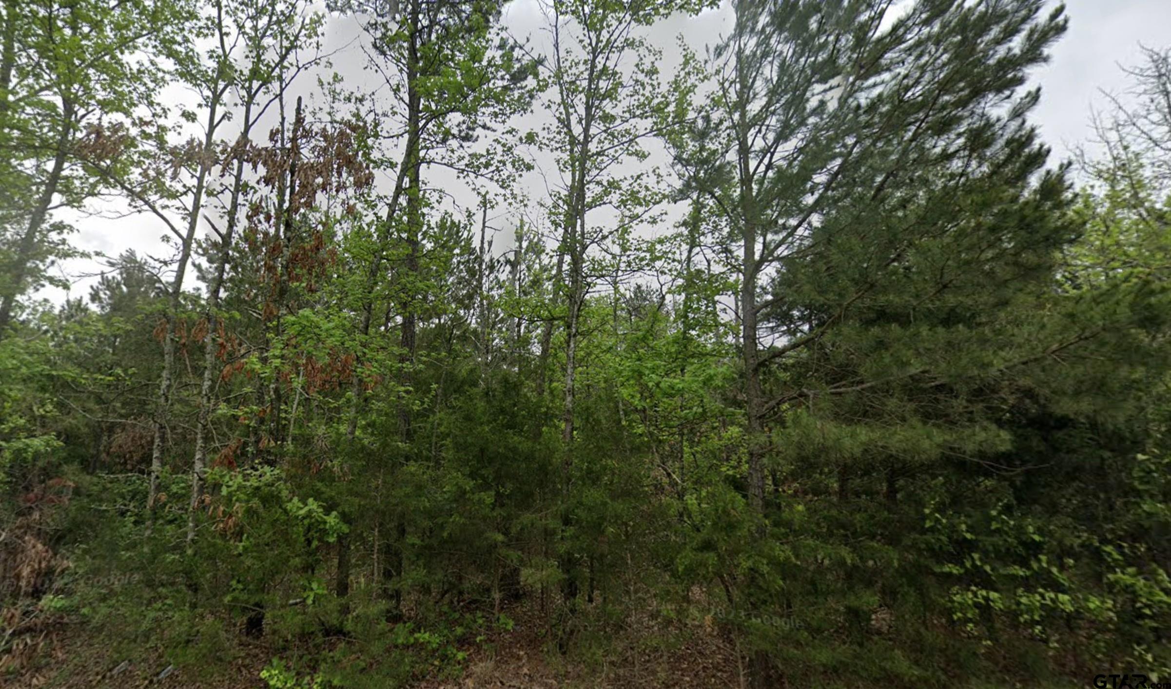 135 Elam Springs Cemetery Road Big Sandy, TX 75755 - Photo 1 of 1 Gallery Image 1