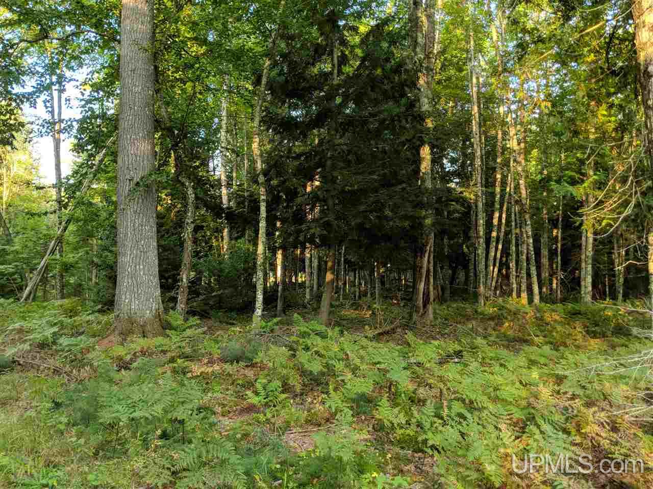 12508 Peterson Road Skanee, MI 49962 - Photo 2 of 9 Gallery Image 2