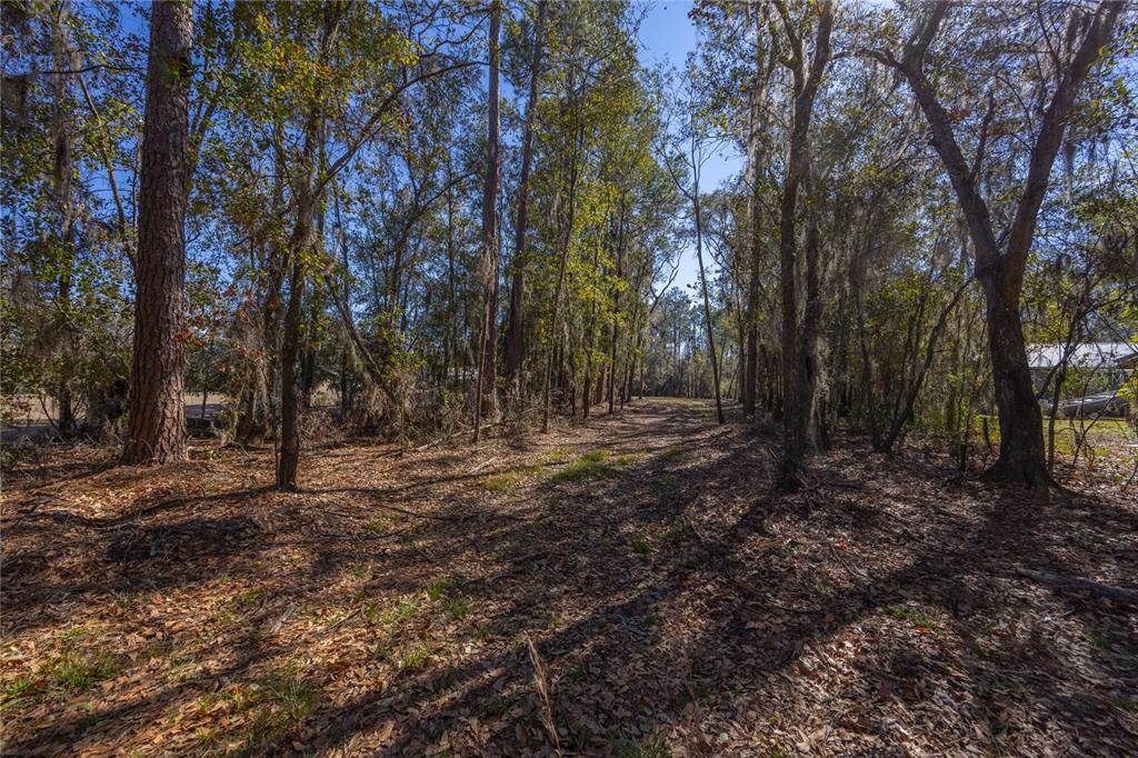 155th Way Starke, FL 32091 - Photo 4 of 29