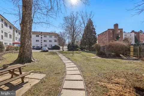 a view of a yard with trees
