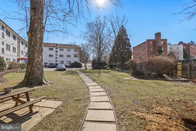 a view of a yard with trees