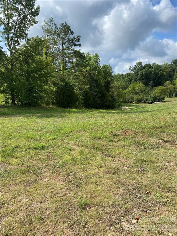 1624 California Road, Unit 1 York, SC 29745 - Photo 2 of 9