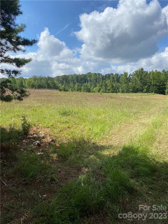 1624 California Road, Unit 1 York, SC 29745 - Photo 3 of 9 a view of a lake from a yard
