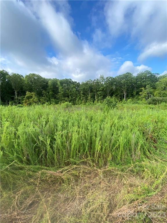 1624 California Road, Unit 1 York, SC 29745 - Photo 6 of 9 a view of a yard with an trees