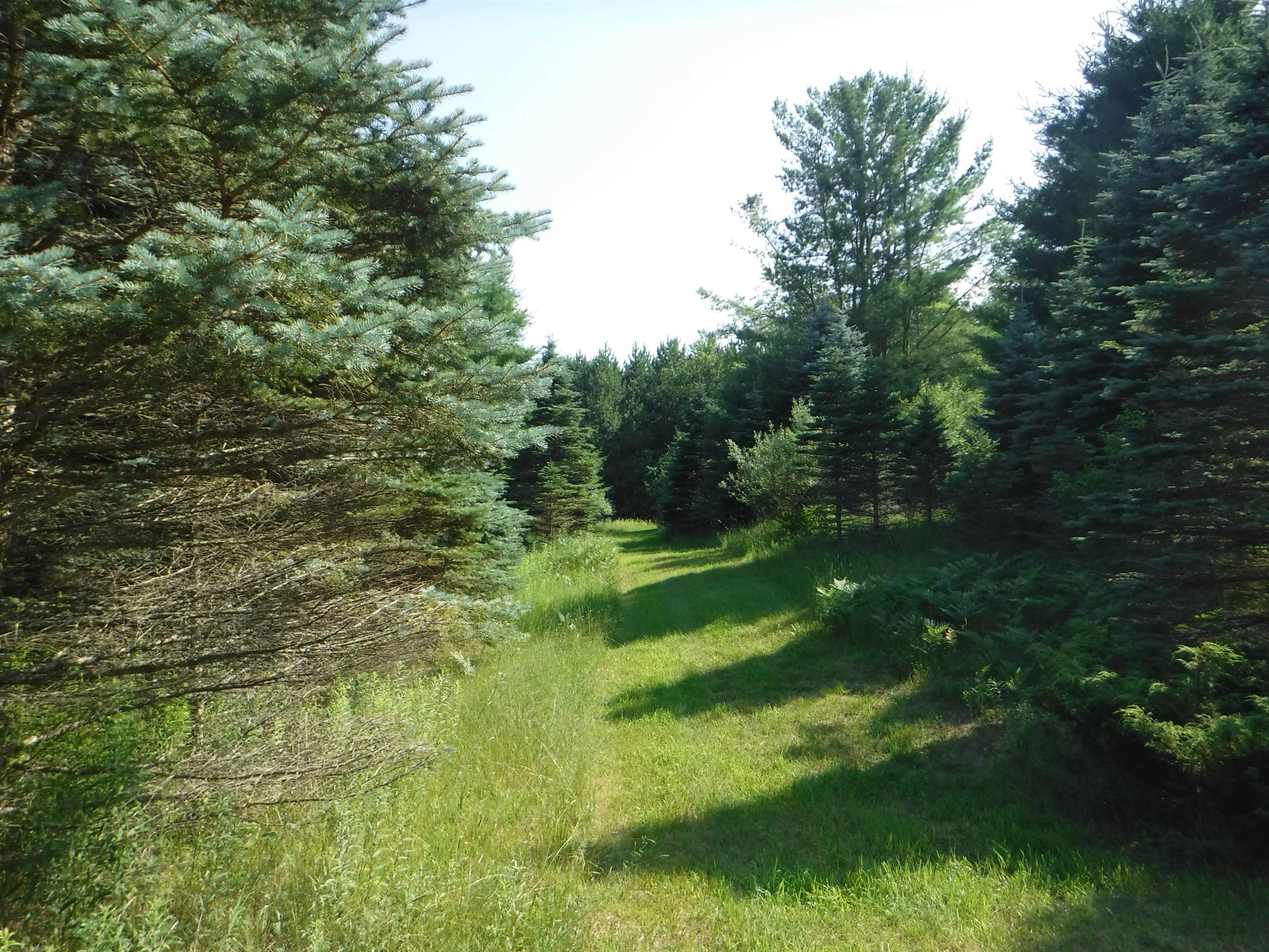 2750 South Poor Farm Road Greenbush, MI 48738 - Photo 5 of 10