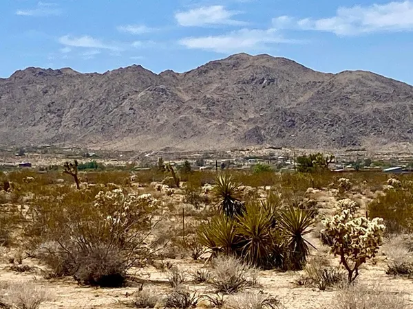 $32,000 | 117 Border Road, Joshua Tree, CA 92252