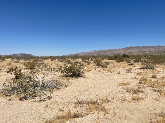 117 Border Road Joshua Tree, CA 92252 - Photo 11 of 20 117 Border 10