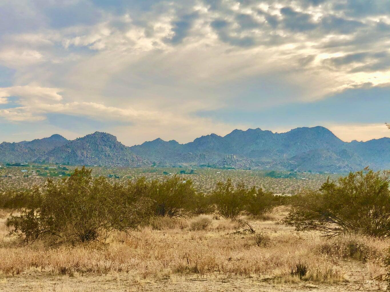 117 Border Road Joshua Tree, CA 92252 - Photo 12 of 20 117 Border 11