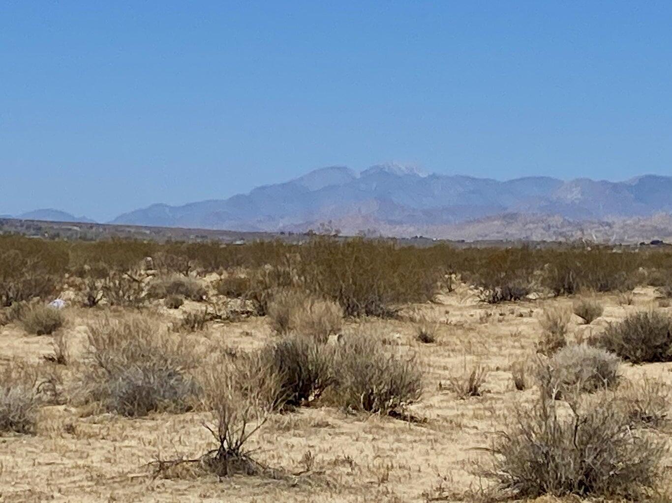 117 Border Road Joshua Tree, CA 92252 - Photo 13 of 20 117 Border 12