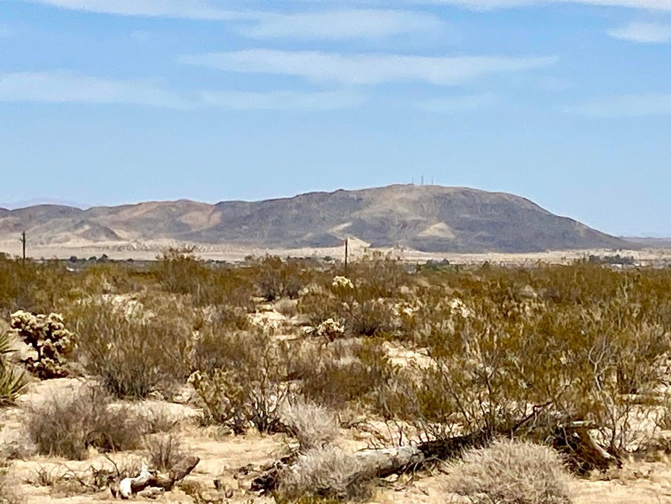 117 Border Road Joshua Tree, CA 92252 - Photo 4 of 20 117 Border 3