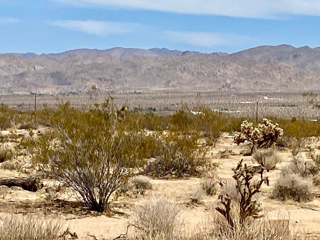117 Border Road Joshua Tree, CA 92252 - Photo 6 of 20 117 Border 5