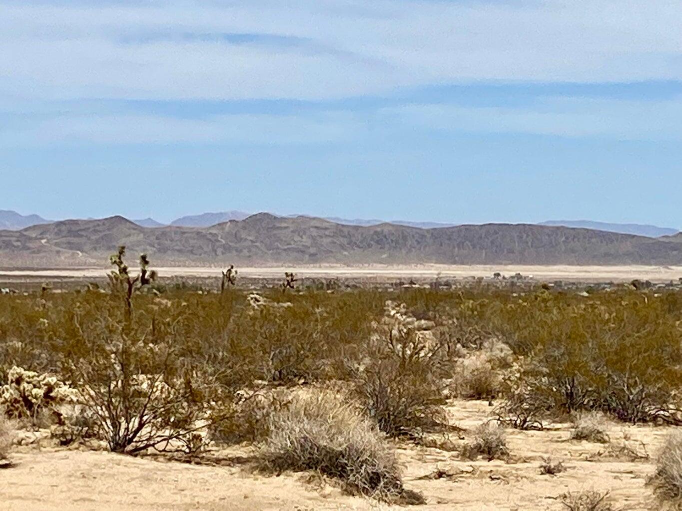 117 Border Road Joshua Tree, CA 92252 - Photo 7 of 20 117 Border 6