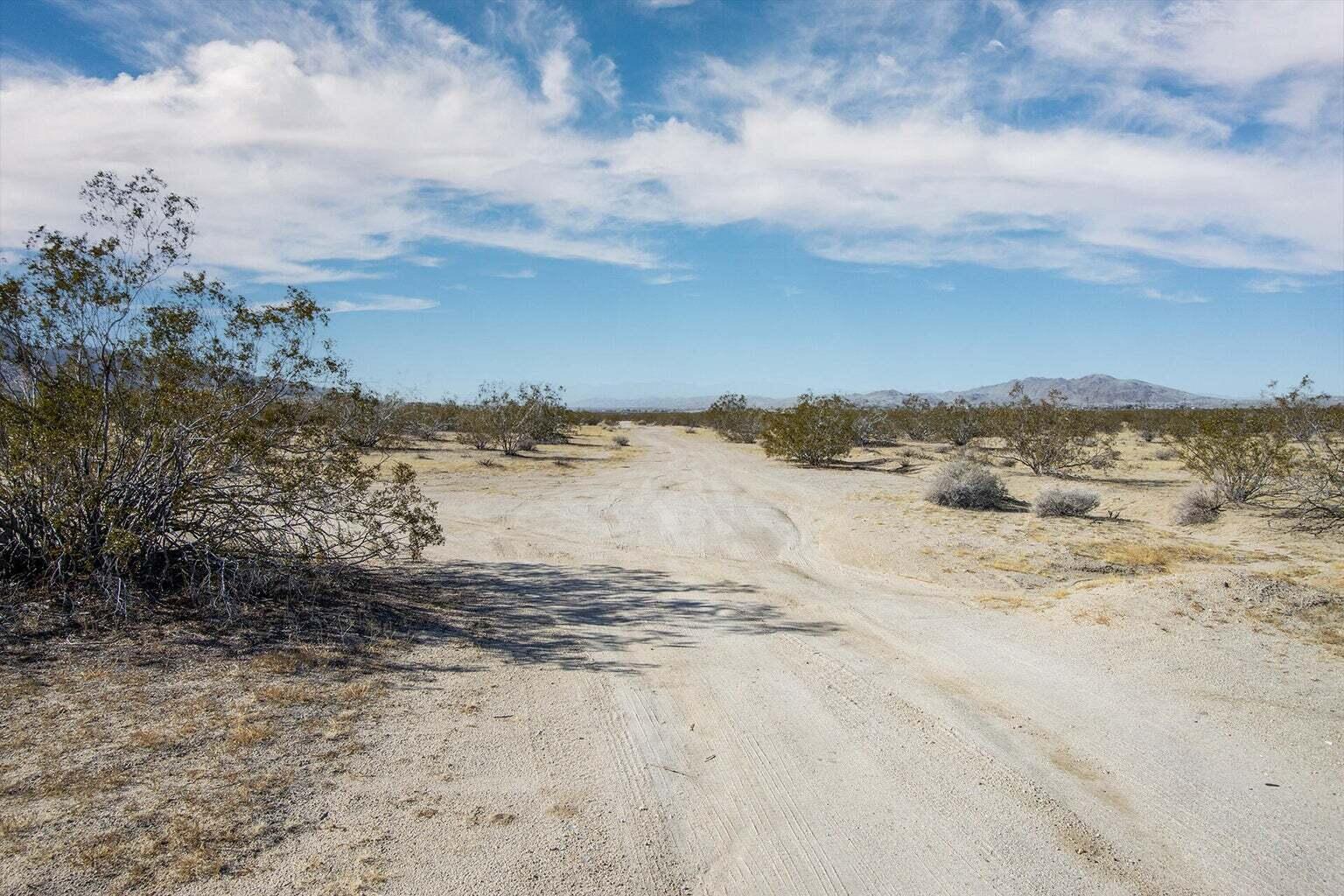 117 Border Road Joshua Tree, CA 92252 - Photo 10 of 20 117 Border 9