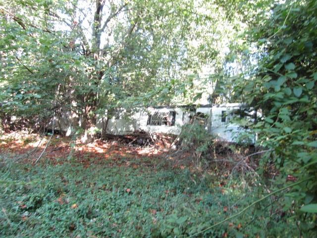 0 Douglass Road Beaver Falls, PA 15010 - Photo 3 of 10 a view of a tree in a yard