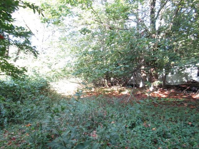 0 Douglass Road Beaver Falls, PA 15010 - Photo 4 of 10 a view of tree