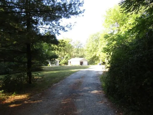 a view of a yard with a tree