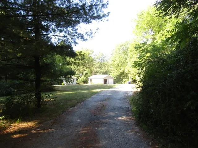 a view of a yard with a tree