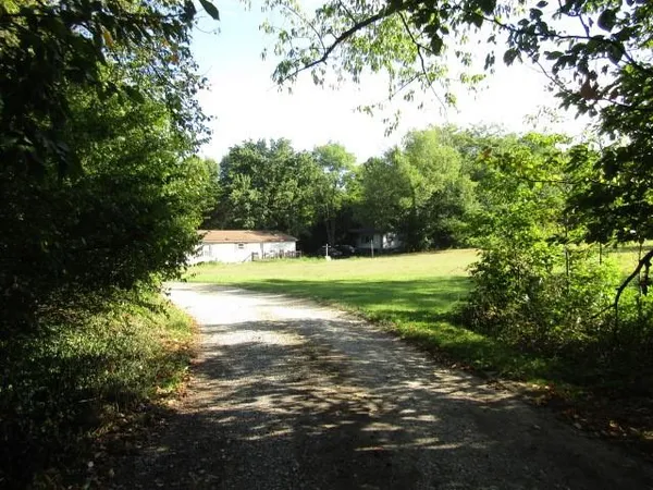 a view of yard with green space and trees around