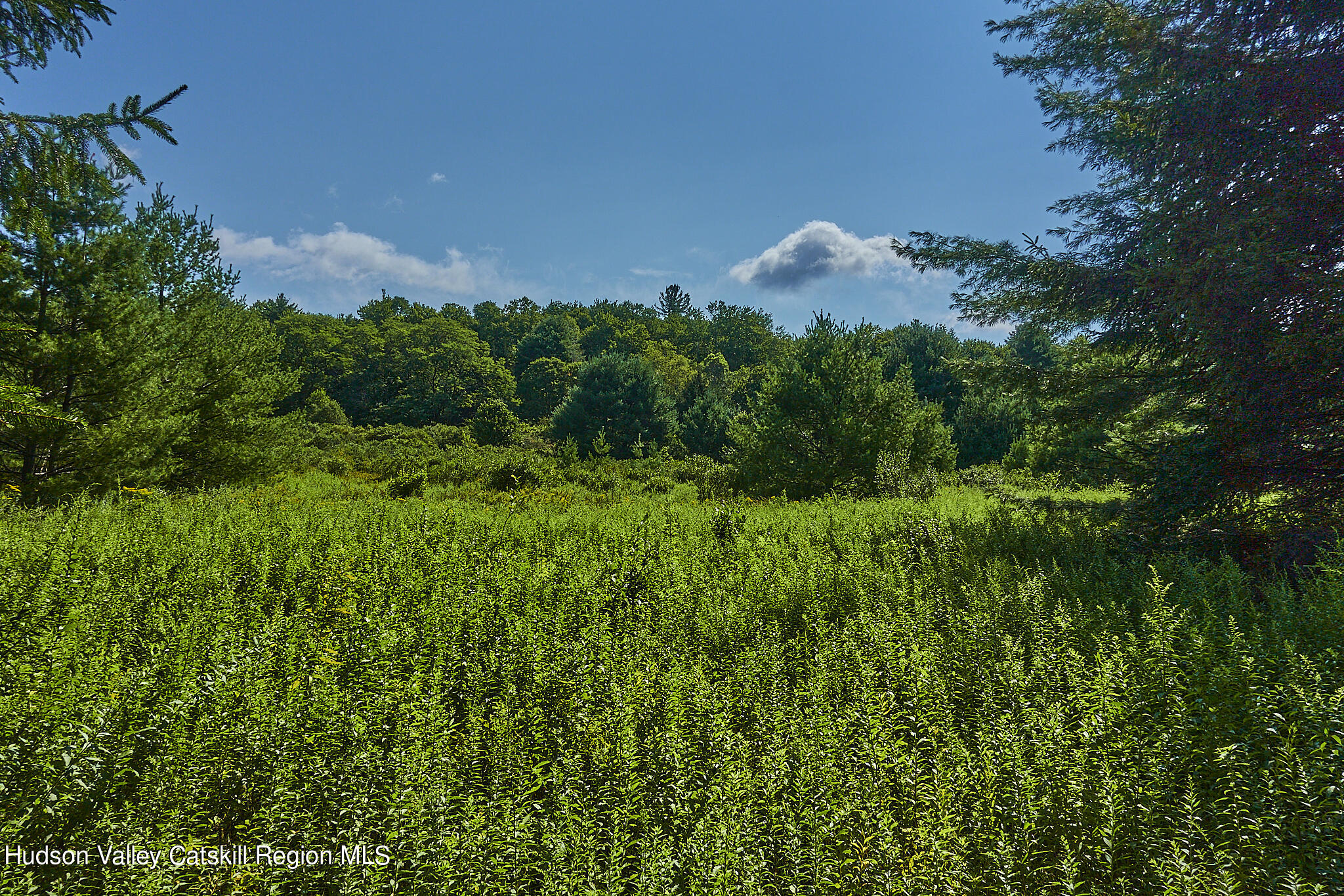 0 State Rte 55 Highway White Lake, NY 12786 - Photo 1 of 17 _RXV1922