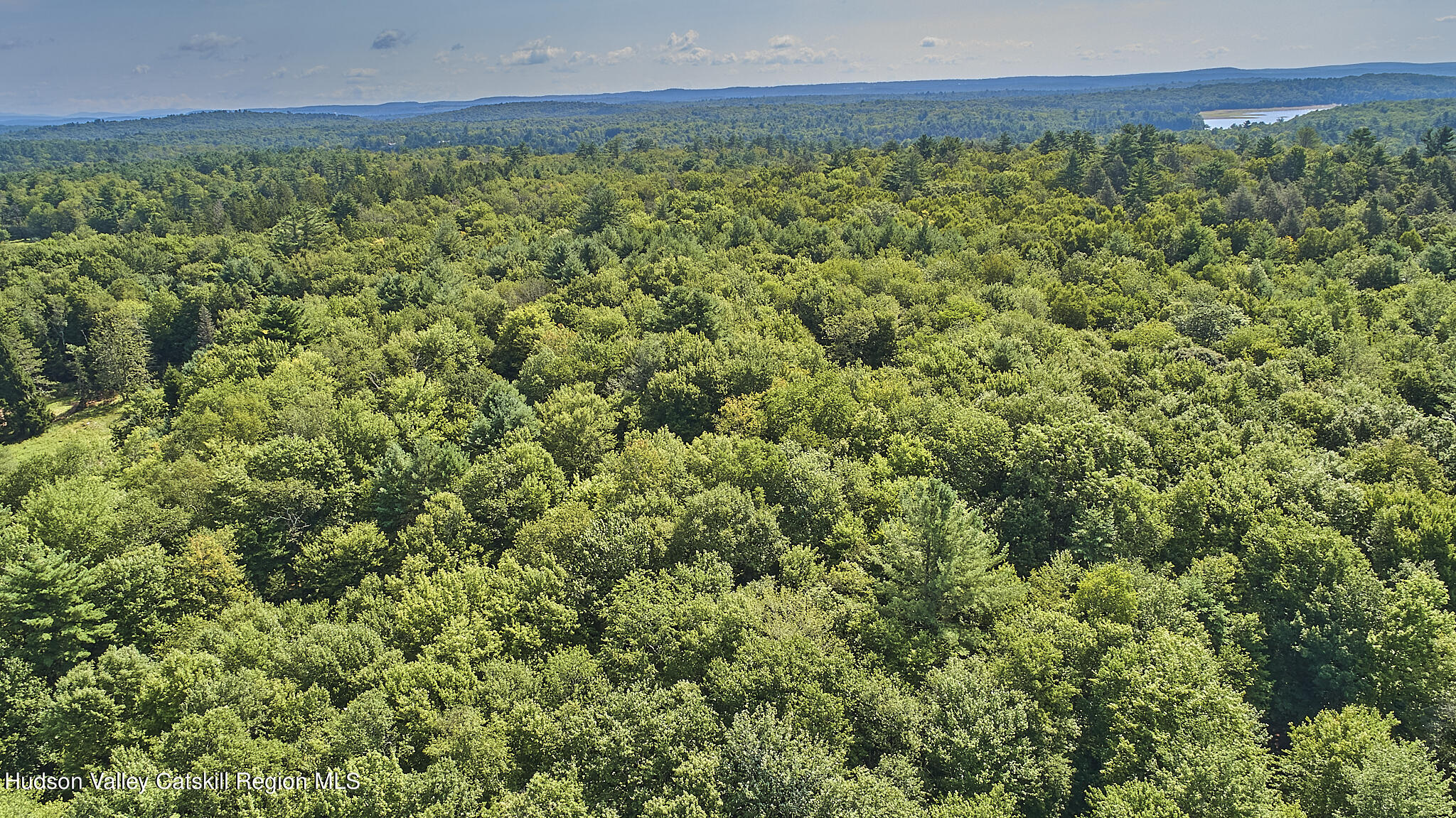 0 State Rte 55 Highway White Lake, NY 12786 - Photo 11 of 17 DJI_0621 1