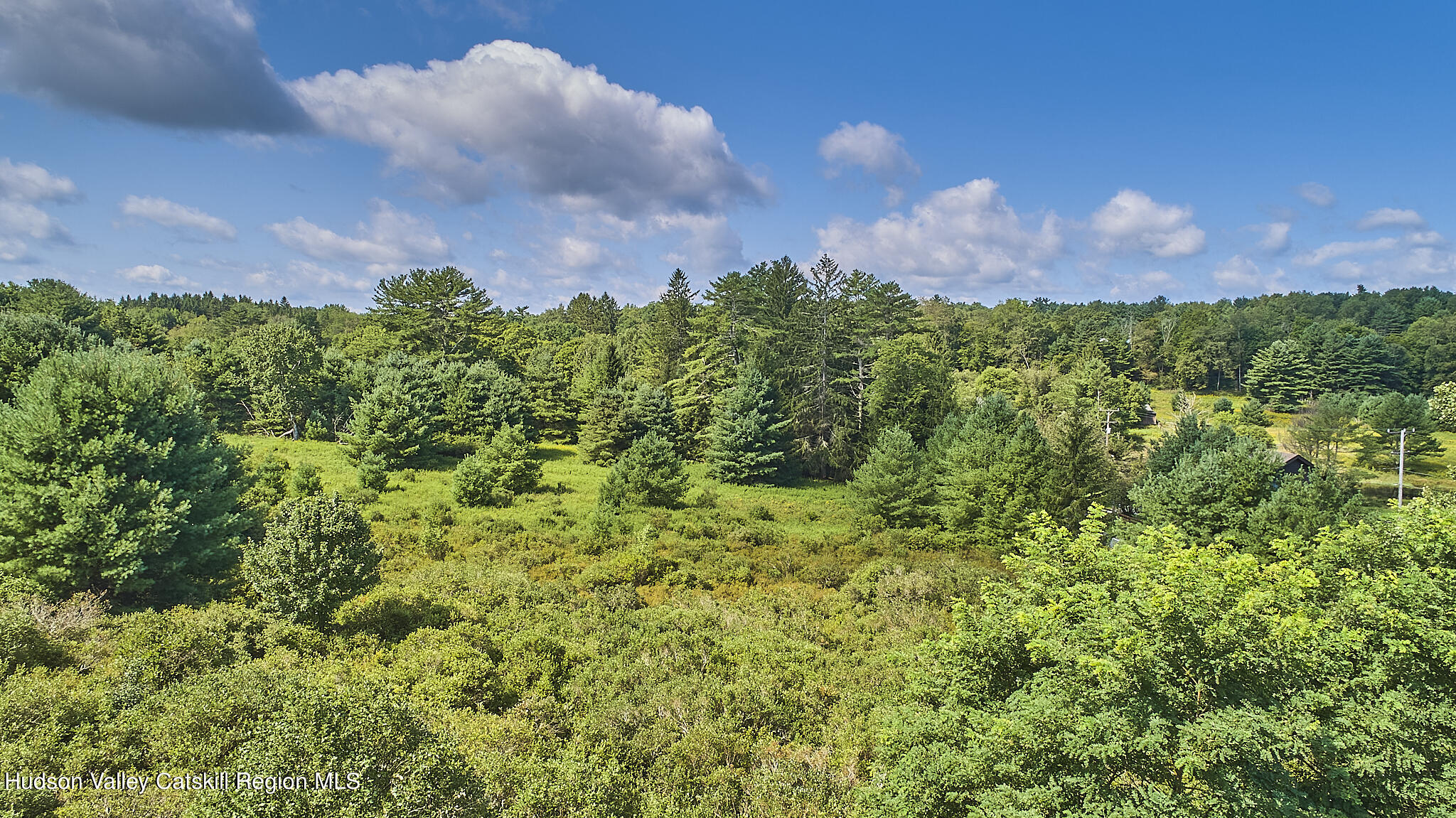 0 State Rte 55 Highway White Lake, NY 12786 - Photo 12 of 17 DJI_0623
