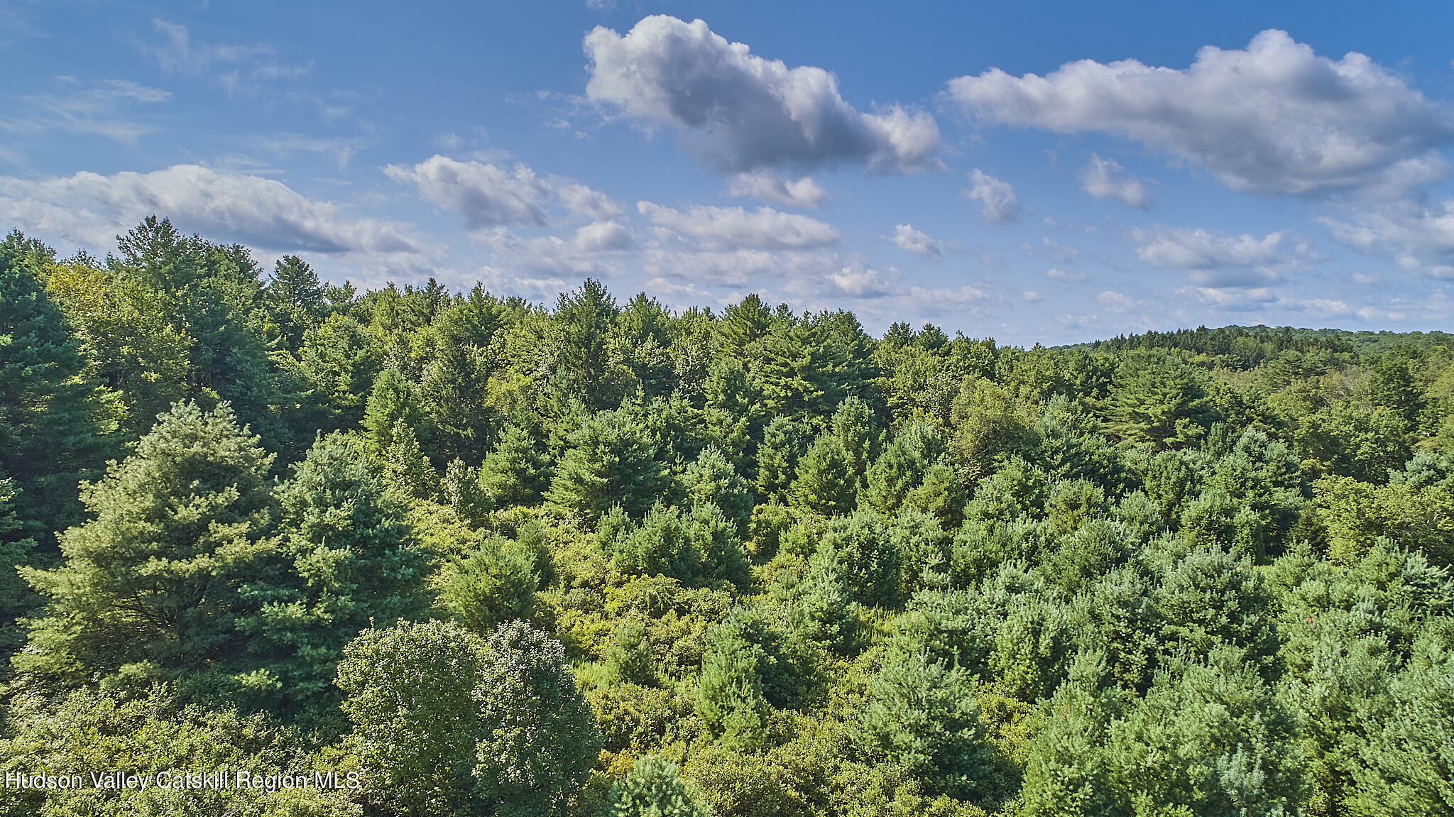 0 State Rte 55 Highway White Lake, NY 12786 - Photo 13 of 17 DJI_0643