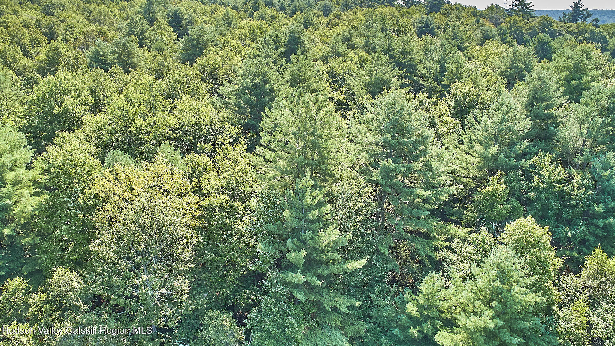 0 State Rte 55 Highway White Lake, NY 12786 - Photo 14 of 17 DJI_0587