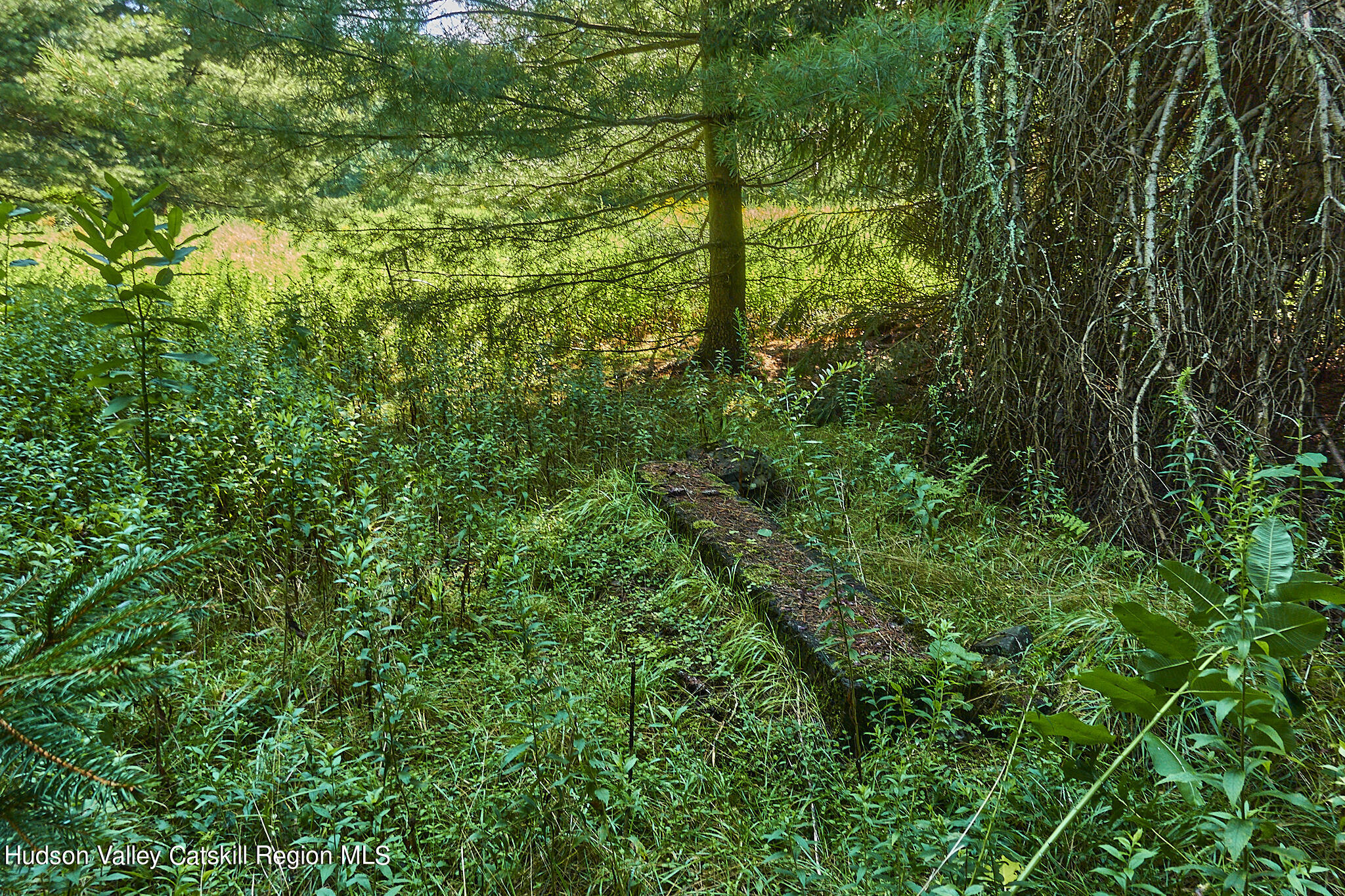 0 State Rte 55 Highway White Lake, NY 12786 - Photo 4 of 17 _RXV1930