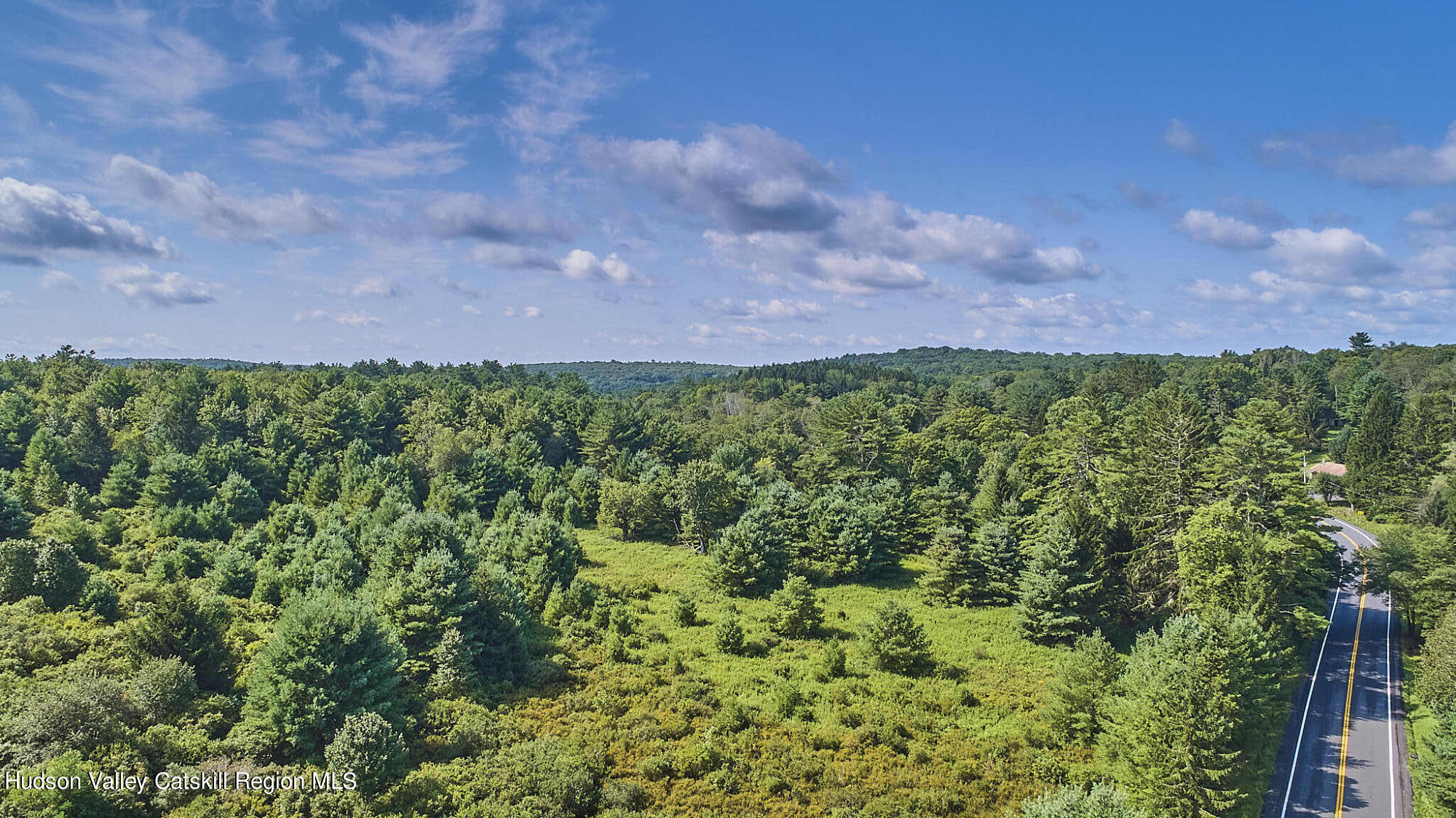 0 State Rte 55 Highway White Lake, NY 12786 - Photo 6 of 17 DJI_0561