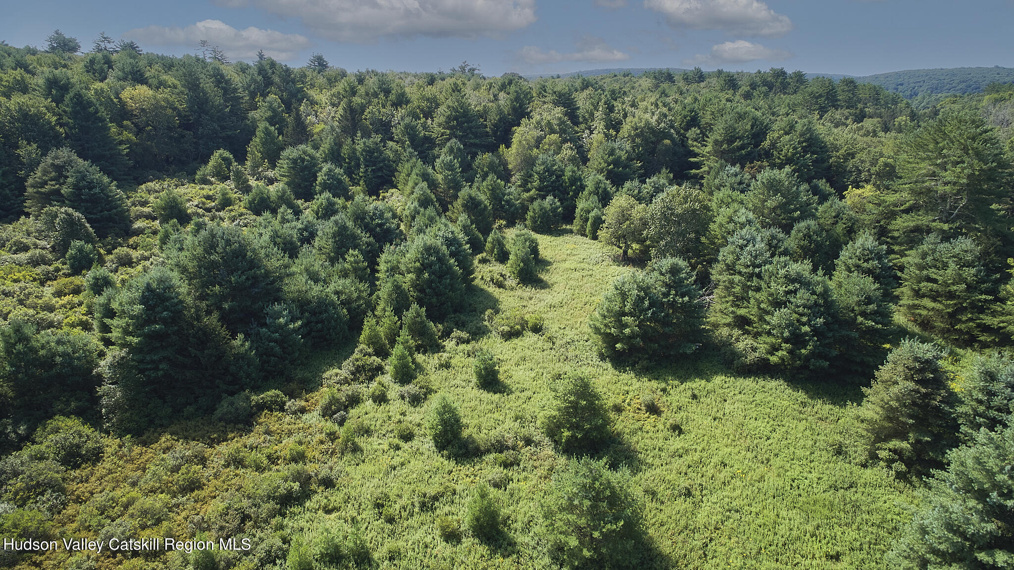 0 State Rte 55 Highway White Lake, NY 12786 - Photo 7 of 17 DJI_0566_2