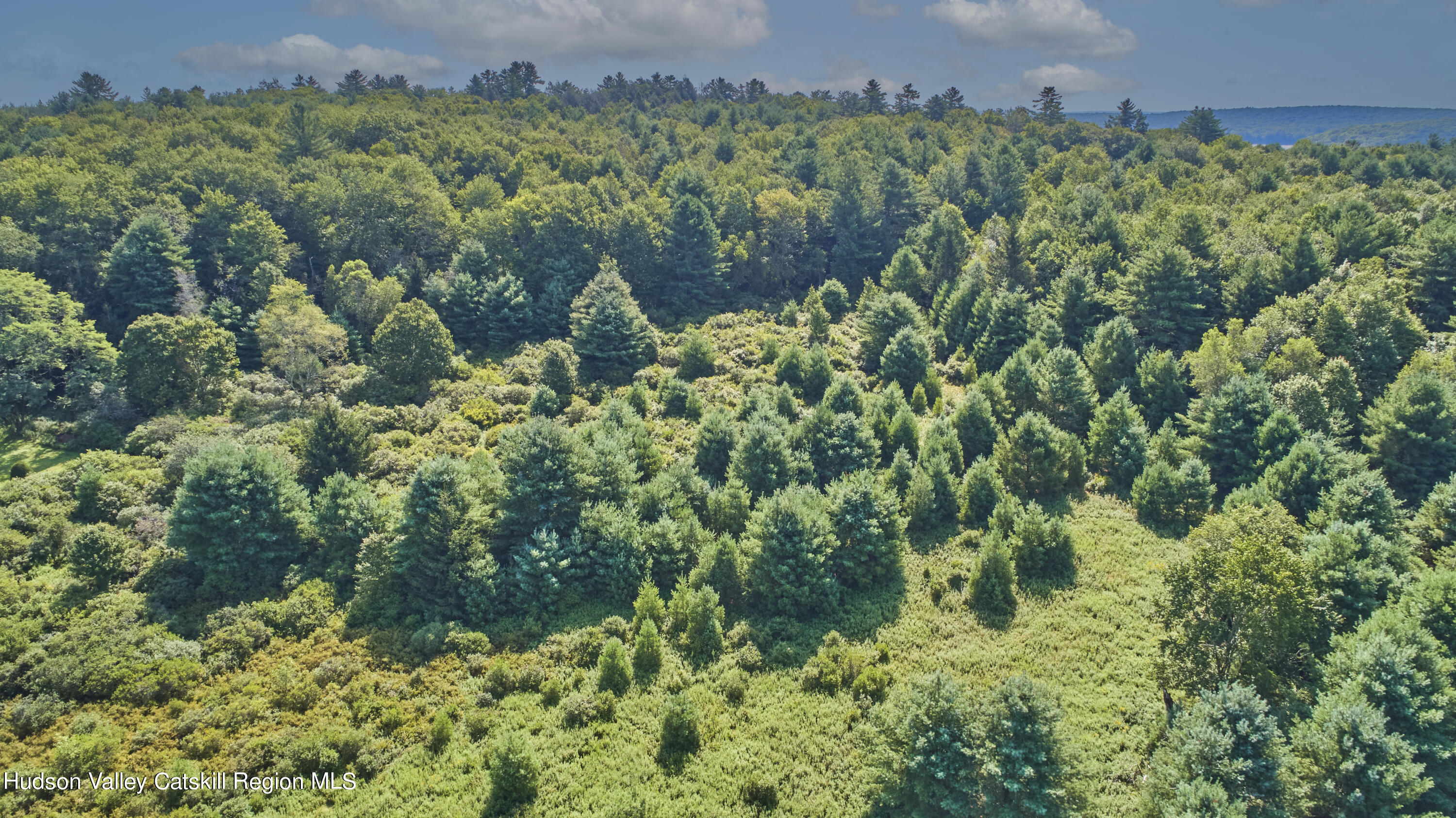 0 State Rte 55 Highway White Lake, NY 12786 - Photo 8 of 17 DJI_0579 2