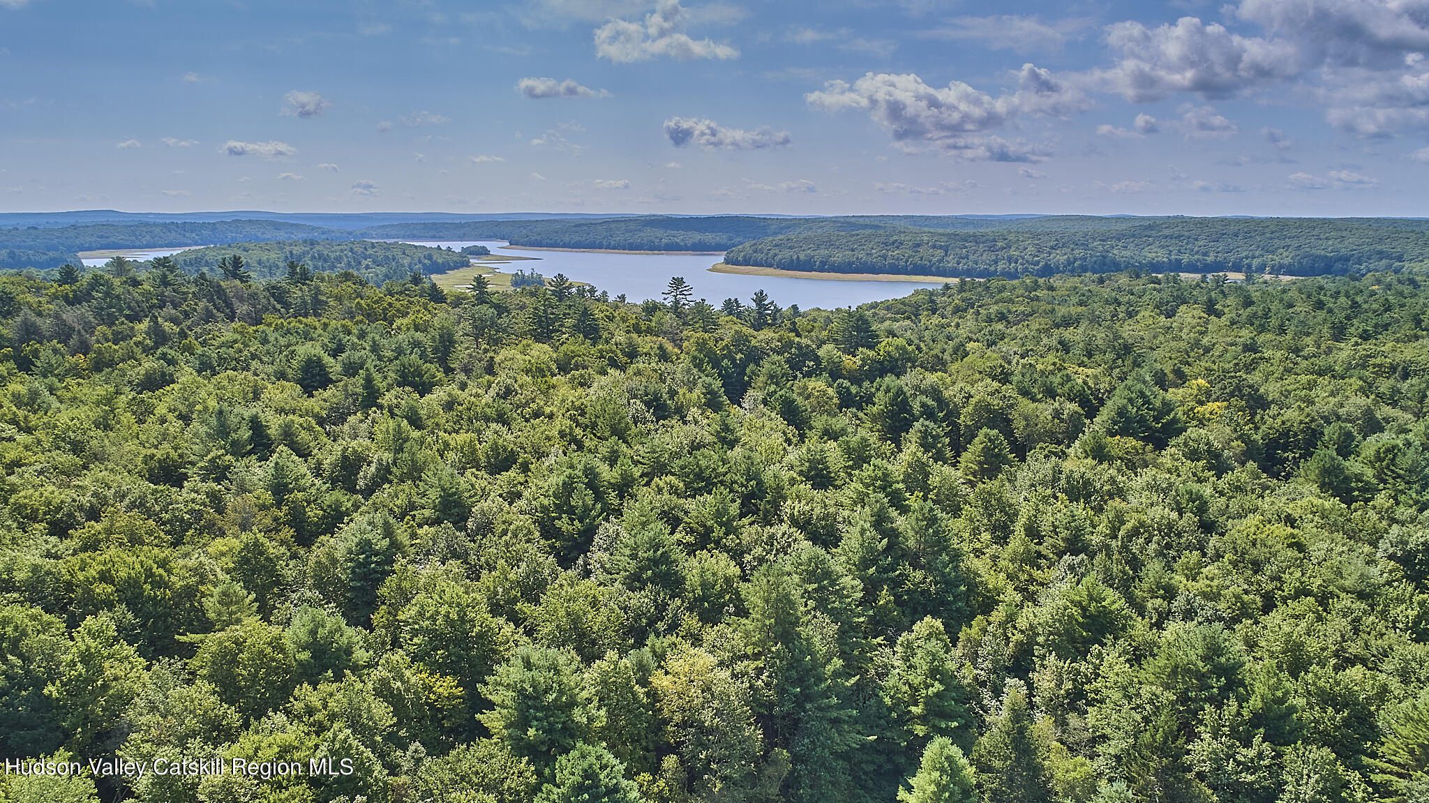 0 State Rte 55 Highway White Lake, NY 12786 - Photo 9 of 17 DJI_0606