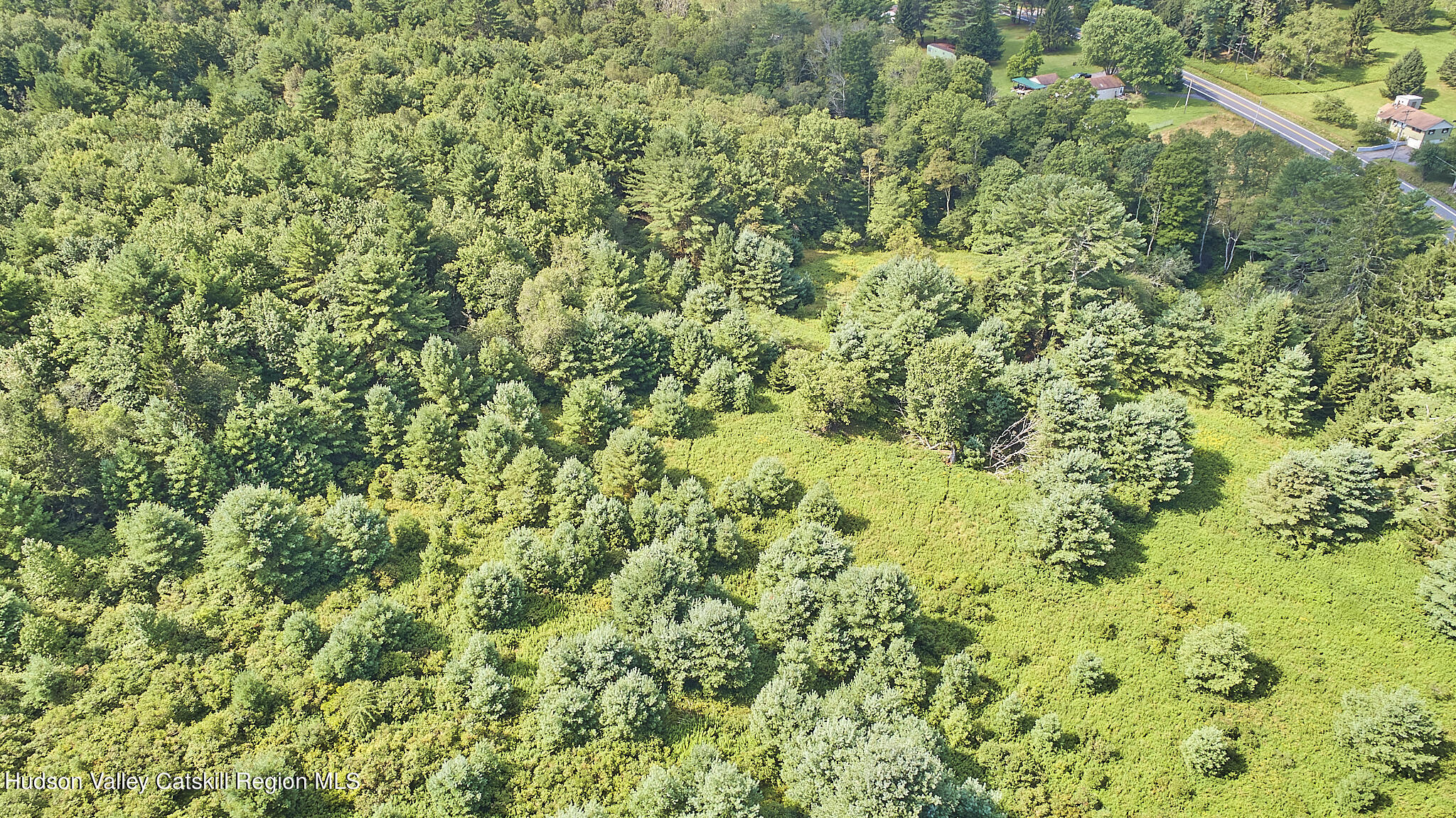 0 State Rte 55 Highway White Lake, NY 12786 - Photo 10 of 17 DJI_0618