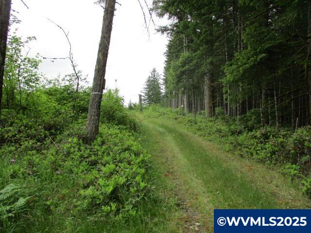 0 Gruber South Road Estacada, OR 97023 - Photo 3 of 30