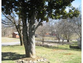 123 Evergreen Road Jonesborough, TN 37659 - Photo 4 of 12 Photo 4