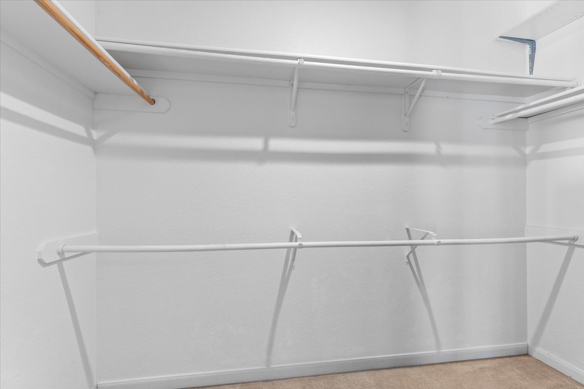 3523 Cheyenne Street Round Rock, TX 78665 - Photo 17 of 34 Walk in closet featuring light colored carpet