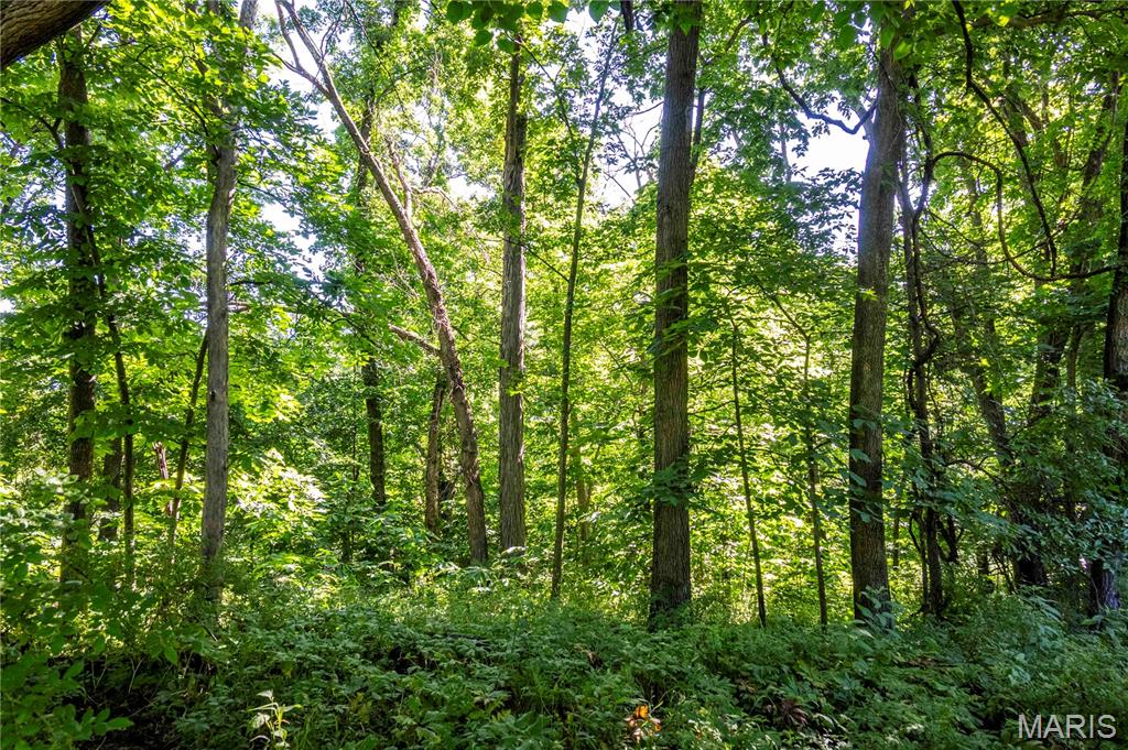0 County 455 Road New Franklin, MO 65274 - Photo 55 of 67