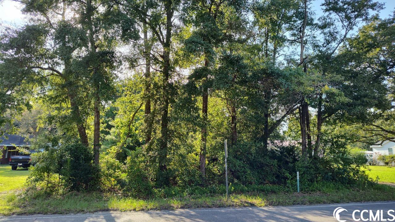 2714 South Island Road Georgetown, SC 29440 - Photo 2 of 2