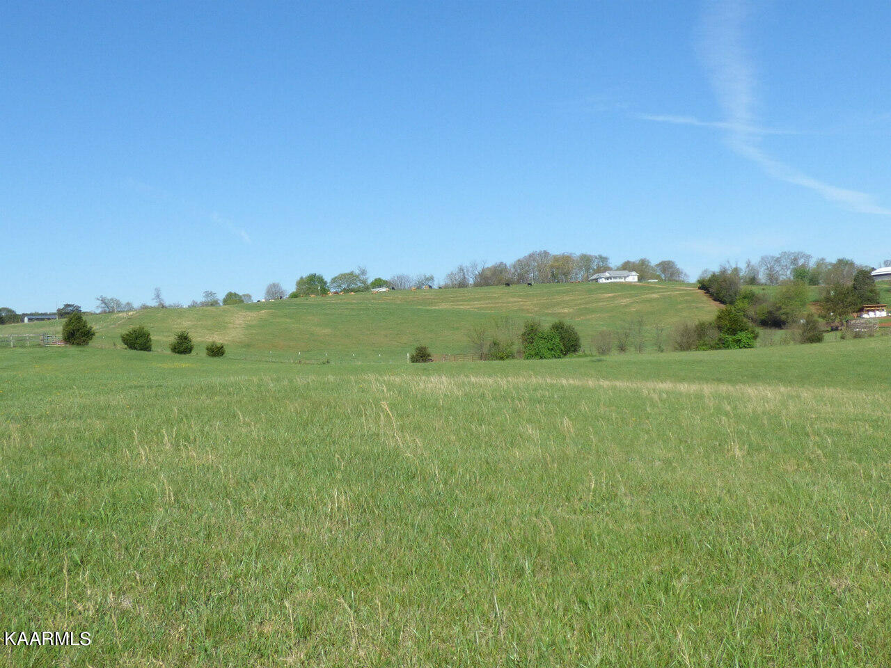 Lot 5 Palace Road Jefferson City, TN 37760 - Photo 7 of 16 P1270298