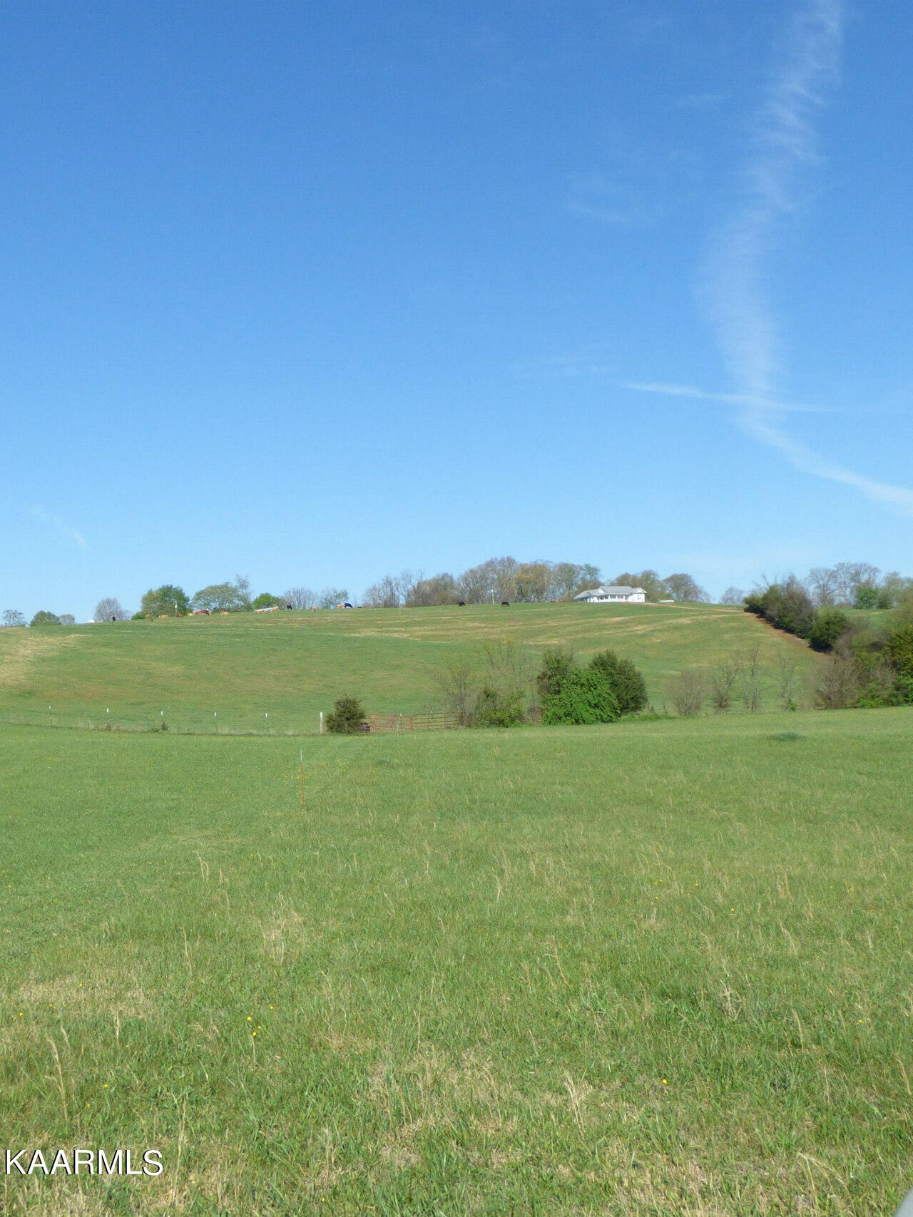 Lot 5 Palace Road Jefferson City, TN 37760 - Photo 9 of 16 P1270300