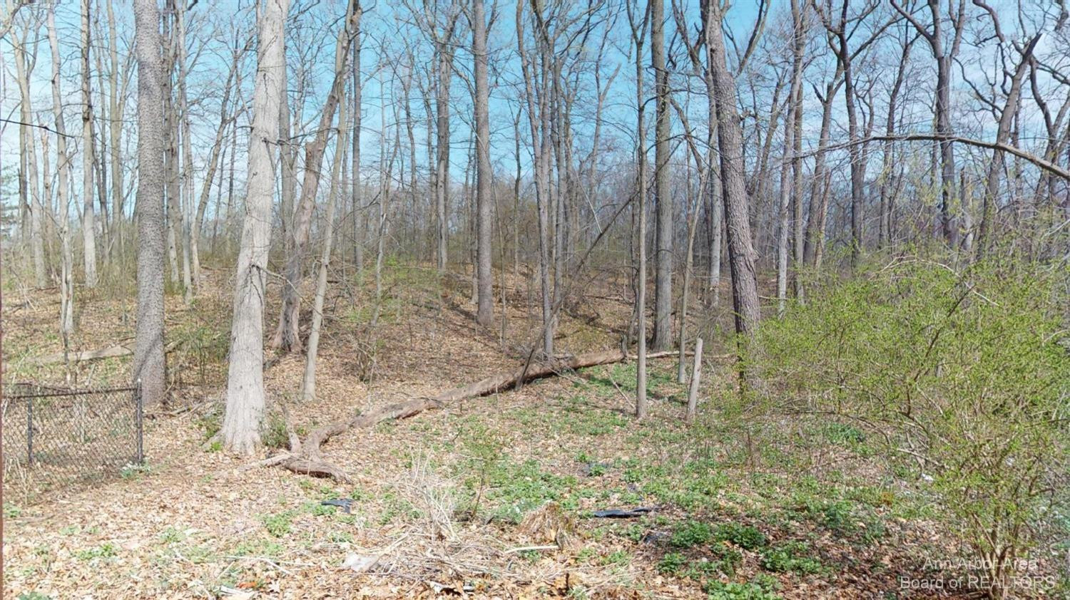 1280 Sunset Road Ann Arbor, MI 48103 - Photo 49 of 63 Photo 49